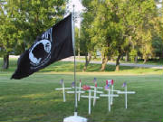pic5.jpg